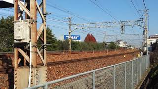 【1日1往復のみの東海道運用!】5087レ EF65-2091(PF形)