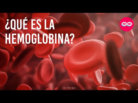 Vídeo: La Hemoglobina En Las Mujeres Es La Norma, Hemoglobina Alta Y Baja En Las Mujeres