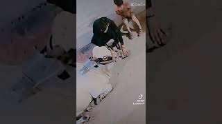 Borakh Laad Uthwaty Hoa But Kuch Din Ka Mahman Ha Phr Qurban Ho Jana Ha