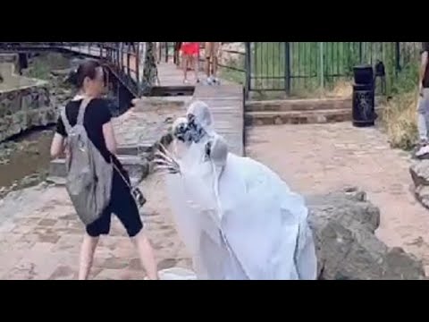 Funny Compilation #89 | Scare Cam Pranks 2024 | Funny Scare Prank | Jump Scare