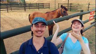 Gezerken Hakkimizdaki̇ Varsayimlarinizi Okuyoruz| Vlog🐴