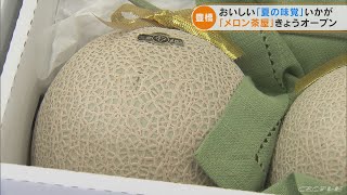 「毎年買いに来ている…」市場価格から1～2割安く果物を販売「メロン茶屋」がオープン　愛知・豊橋市