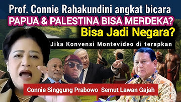Syarat Suatu Negara Bisa Diakui Resmi! | Penjelasan Konvensi Montevideo Secara Mudah
