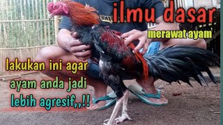 ingin 4yam anda lebih 4gresif dan full mental,, coba lakukan cara seperti ini..👉