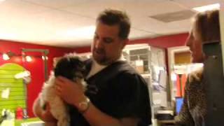 Dirty Jobs Part 3 - Pet Grooming