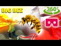 Big bee chasing children 360 VR
