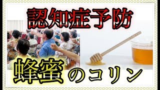 はちみつで 認知症予防　動脈硬化 や ダイエットにも！ 注目成分のコリンとは