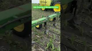 Side Dressing of Nitrogen Fertilizer at Corn Farm