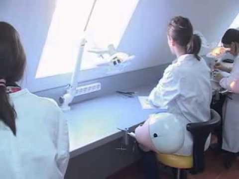 Video: Kako Otvoriti Stomatologiju