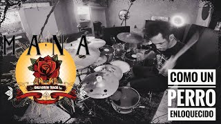 Video thumbnail of "COMO UN PERRO ENLOQUECIDO, MANÁ, only drums track"