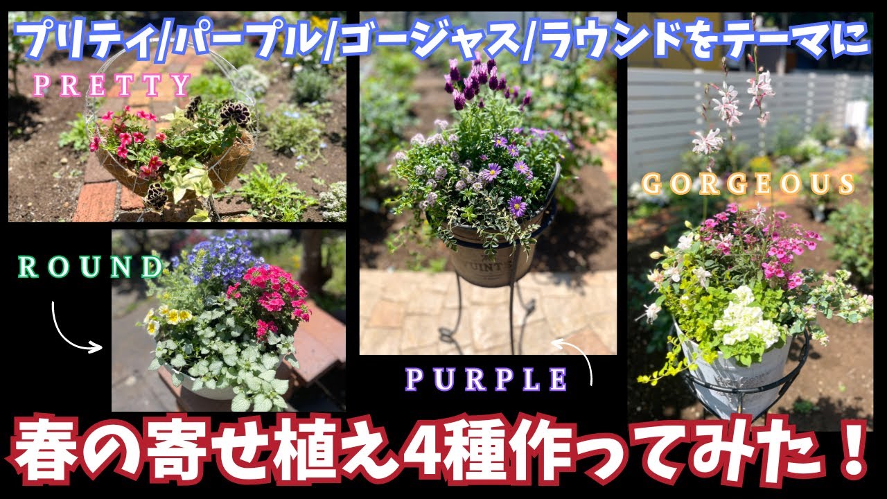 pink & purpleの春の大人カワイイ寄せ植え 1日で完成！】初心者でも失敗しない“大人パステル”のロマンチック寄せ