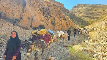 🚐🏕️No Roads, Only Trails: Nomad Families Return from Kohrig🏔️🌲