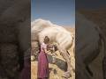 Insane RDR2 Savage Girl TEARS Beast Apart in Desert 😱 #shorts #gaming #viral