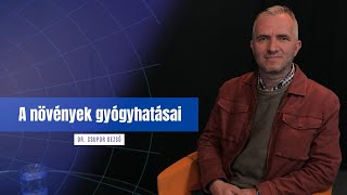 Így készítenek gyógyszert a növényekből - a fitokémia | egyetem tv | Tandem