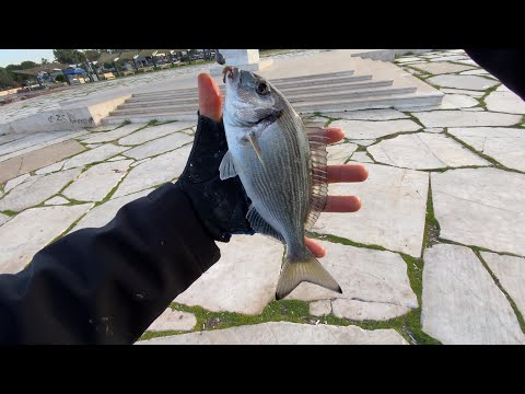 Kış mevsiminin kaslı lidakilerini yakaladım!