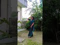 yeh Dil to pyar mange hai