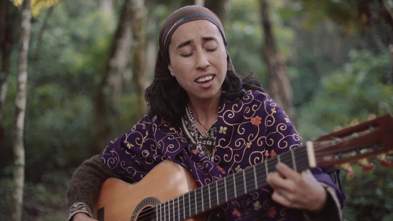 Suzzanne Flores - Meu Jardim Floresce