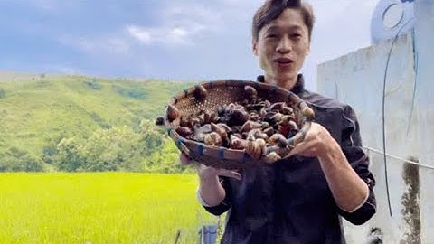 Ốc Sên Ma Canh Nhớt nhờn nhợt ,Cắt Cơn Pịa Ốc Sên Quá Ngậy  - Lập Tây Bắc