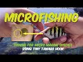 Microfishing Cebu: fishing for marine species