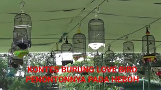 KONTES BURUNG LOVEBIRD, PARA PENONTON HEBOH