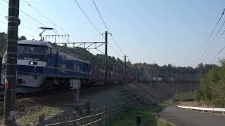 2025.3.22 8:40 ㋵1060レ EF210-363(新) 汽笛アリガトウ♬
