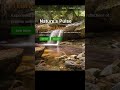 Nature Slider Using HTML, CSS & JavaScript #WebDevelopment #NatureSlider #HTMLCSSJavaScript #coding