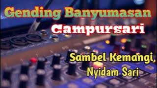 Sambel Kemangi || Langgam Jawa Campursari Mp3