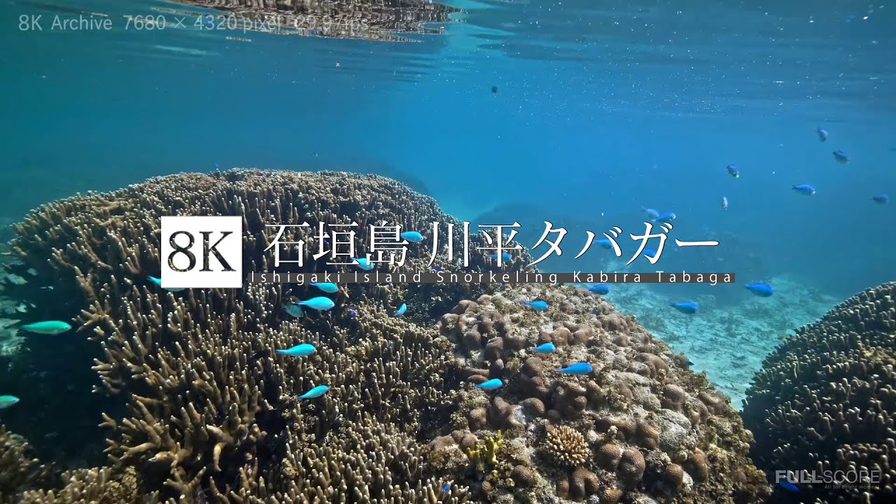 8k Footage Ishigaki Island Snorkeling Kabira Tabaga 石垣島 川平タバガー 8k Youtube