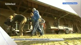 GLD Nieuws 27 oktober 2012 - Nieuws