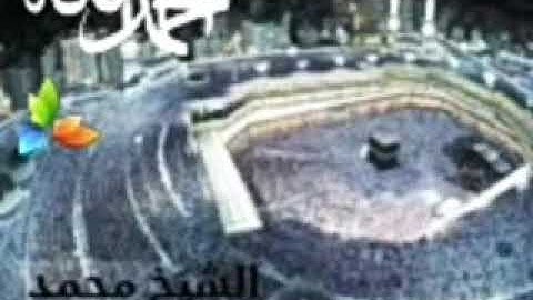 سورة النبأ، الشيخ محمد المحيسني