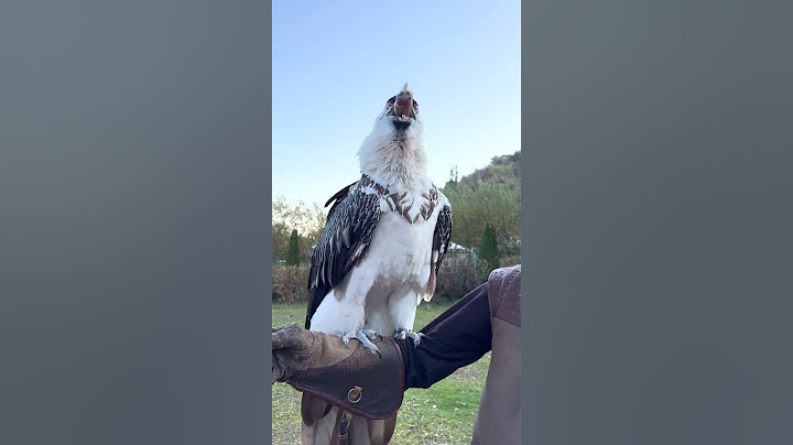 Vulture swallows big bone whole! 😳🤯 - 🎥 Viralhog