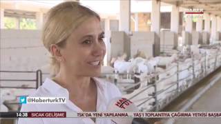 Serfiraz Ergun ile Aktüalite - BALTALI ÇİFTLİĞİ