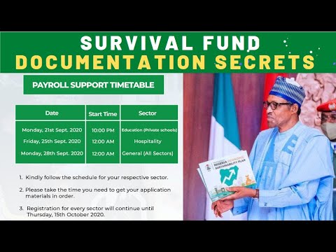 Survival Fund: Documentation and Payroll Evidence Upload [Best Strategies]