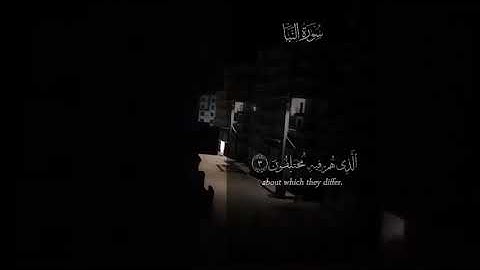 سوره النبأ بصوت الشيخ عبدالرحمن مسعد شاشه سوداء بدون حقوق طبع ونشر