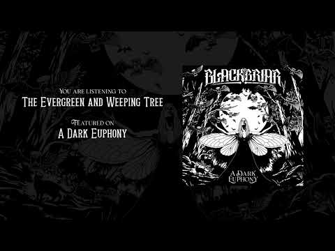 Blackbriar - The Evergreen And Weeping Tree