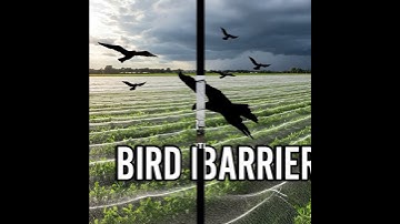 Protect Your Plants from Every Angle: PAKGLOBAL Multi-Use Hail Netting