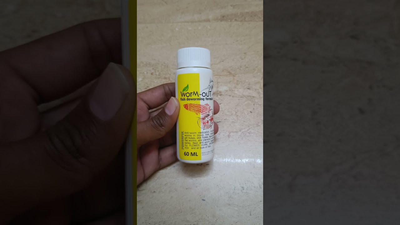 Flowerhorn Deworming - Using Worm out in tamil - easy & effective method