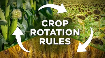 CROP ROTATION Rules You MUST Know! Save Your SOIL & DOUBLE Yields