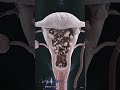 How Periods Actually Work | Educational Animation