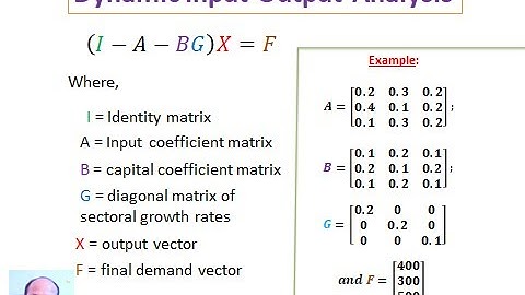 Dynamic Input-Output Model