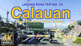 Laguna Road Trip No. 20 CALAUAN | Home of Laguna's Sweet Pineapple | CALABARZON | Philippines | 4K
