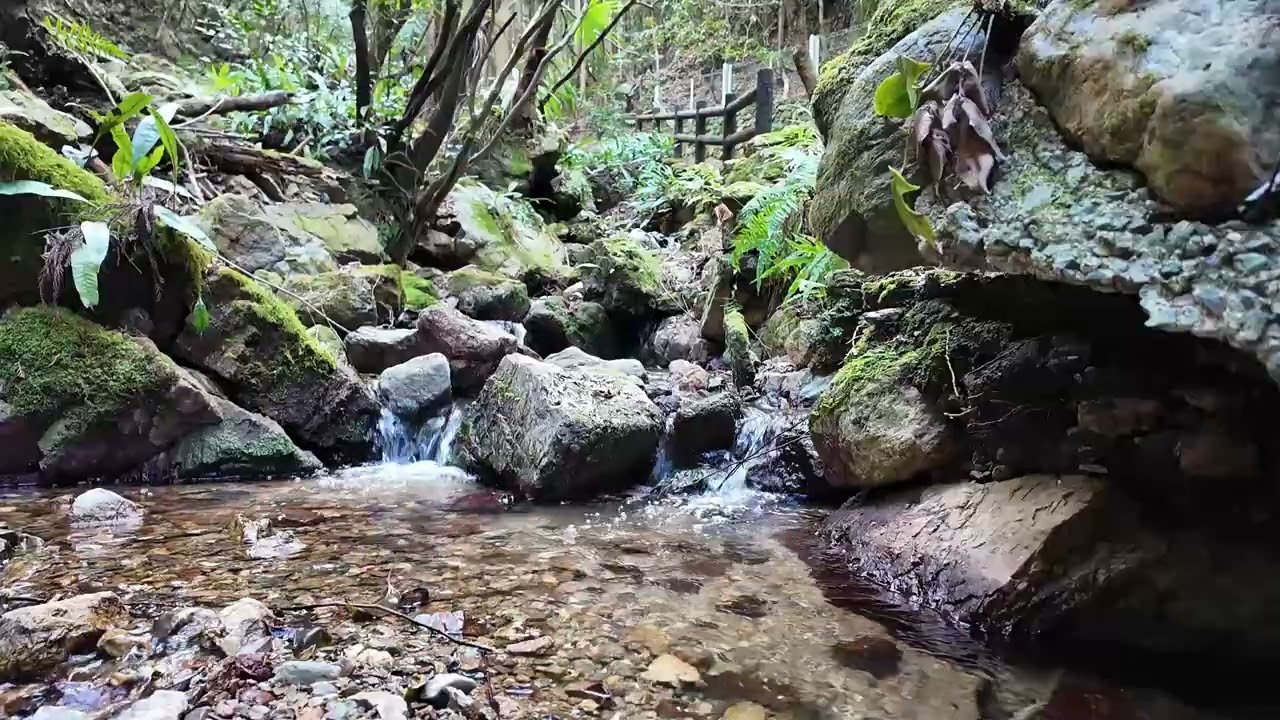 【愛媛県西予市観音水・川の音 ASMR】 『水の音・川の音・疲れた心身の回復・リラックス効果・勉強や作業用・自律神経を整える・よく眠れる』 Japanese river sounds