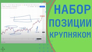 Как набирает позицию крупный игрок. В чем отличие от маркетмейкера. Профиль объема и ликвидность.