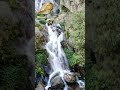 Waterfall satluj valley 15/20 Himachal Pradesh #himachaltourism #himachal #shimlatour