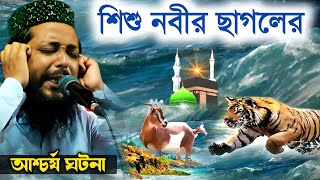 শিশু নবীর ছাগলের আশ্চর্য ঘটনা | শিশু নবী সাঃ ও দুধ মা হালিমার ঘটনা | মাওঃ সাহানুর সেলিম ওয়াজ