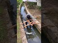 Smart Bridge Built by a Farmer