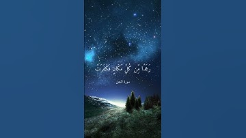 القرآن راحة النفسيه تلاوة خاشعة حالات واتس اب قرآن كريم ✨️✨️