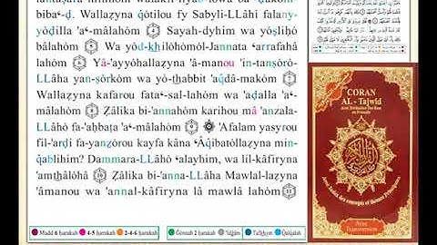 ختمة من مصحف التجويد باللغة الفرنسية الصفحة رقم 507