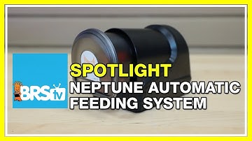 Busy life and hungry reef tank solved with the Neptune AFS | BRStv Spotlight