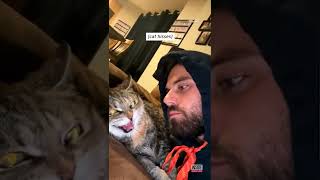 Grumpy Cat Hisses When Its Human Tries to Cuddle #Shorts